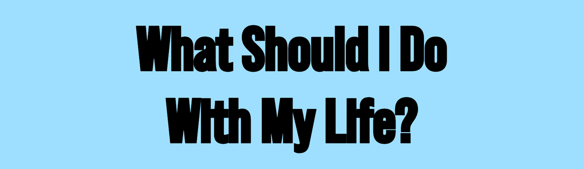 What Should I Do With My Life?