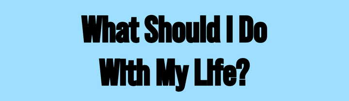 What Should I Do With My Life?